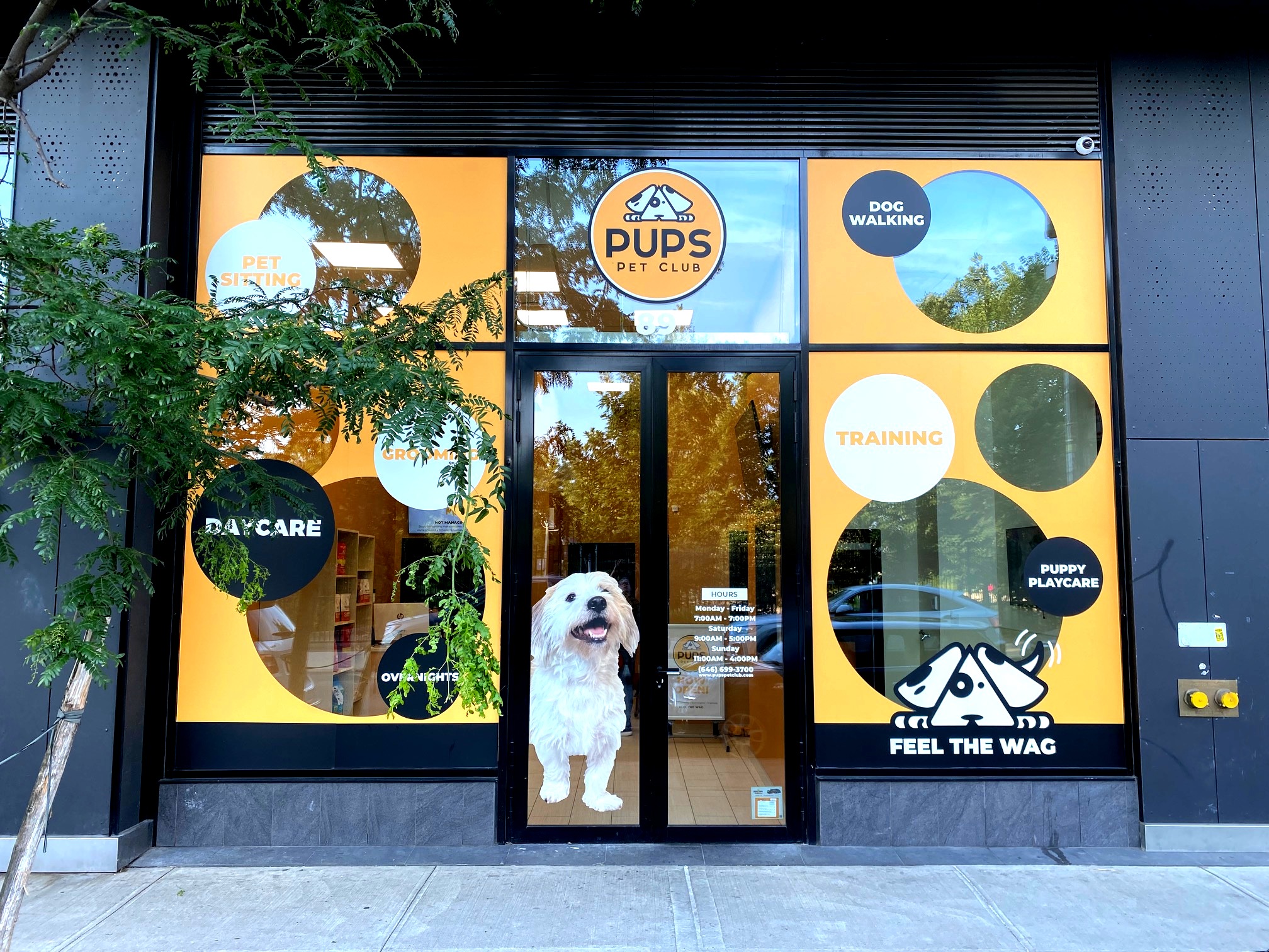 Pups Pet Club - Brooklyn, NY - Commercial Construction